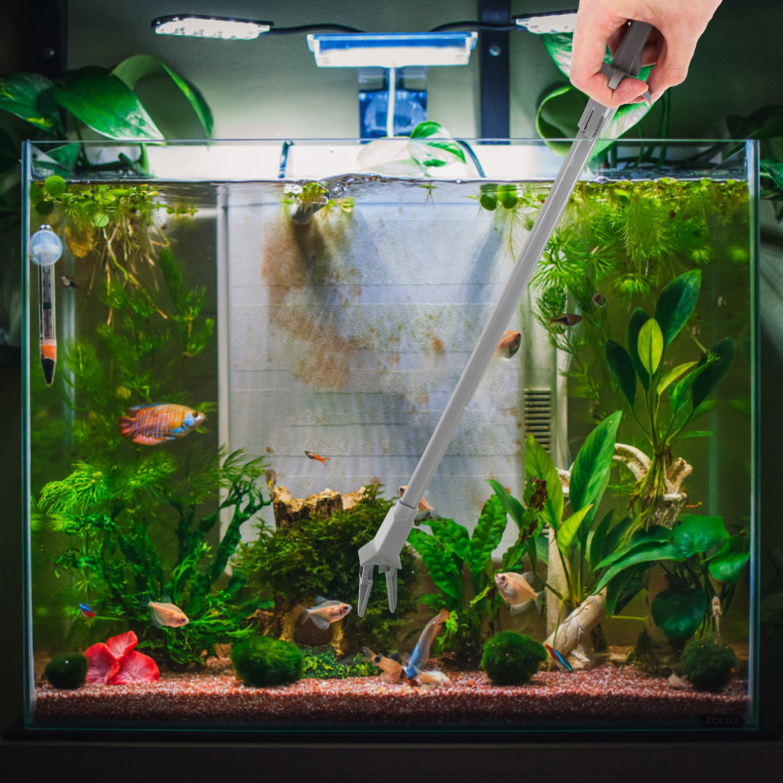 Planted Aquarium Carpet Plant - 50Cm Aquarium Plant Tweezers Plastic Long