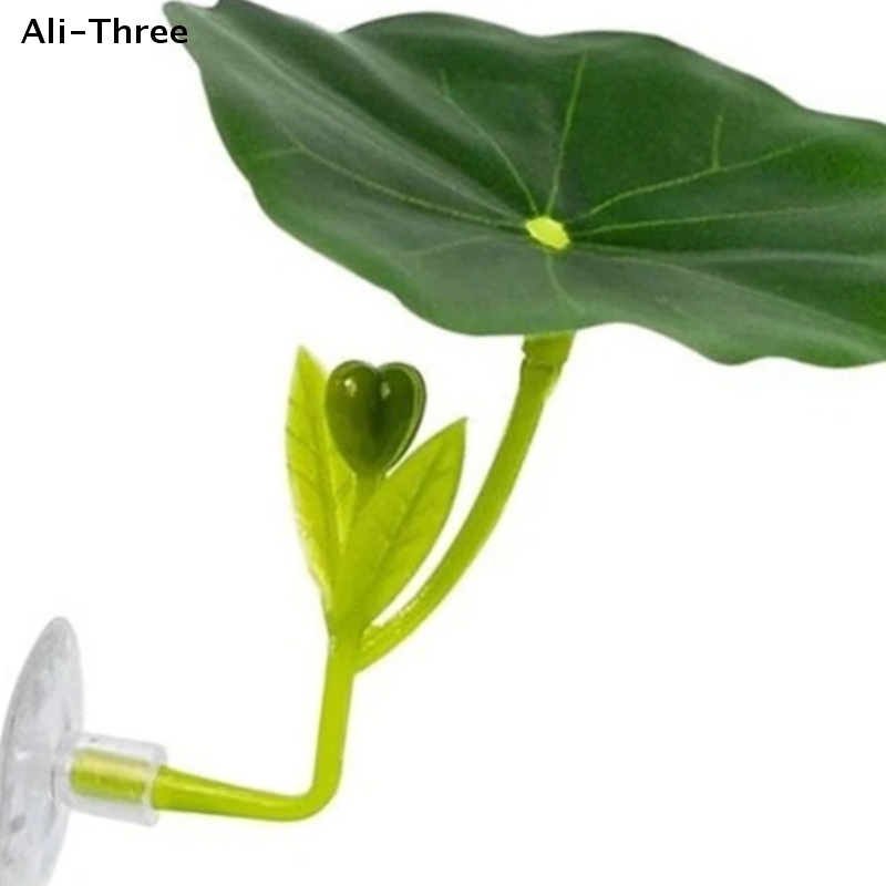 Planted Aquarium Betta - Green Leaf Hammock For Betta Fish