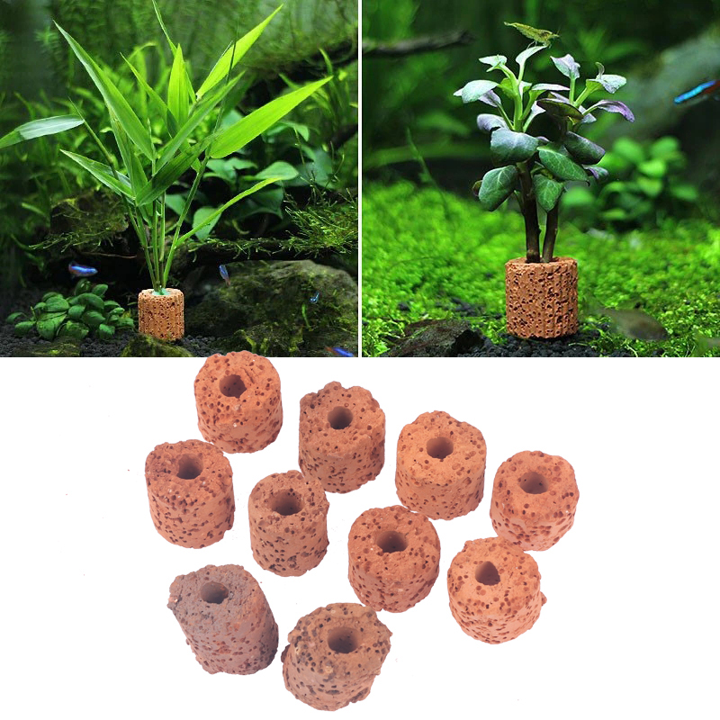 Aquarium Plant Utensils - 10Pcs Plant Ring Aquarium Fixed Watertank