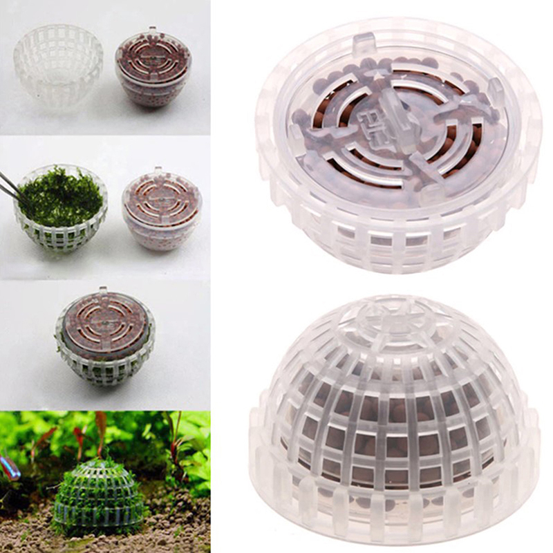 Aquarium Plant Echinodorus - Plants Filter Decor Aquatic Pet Supplies