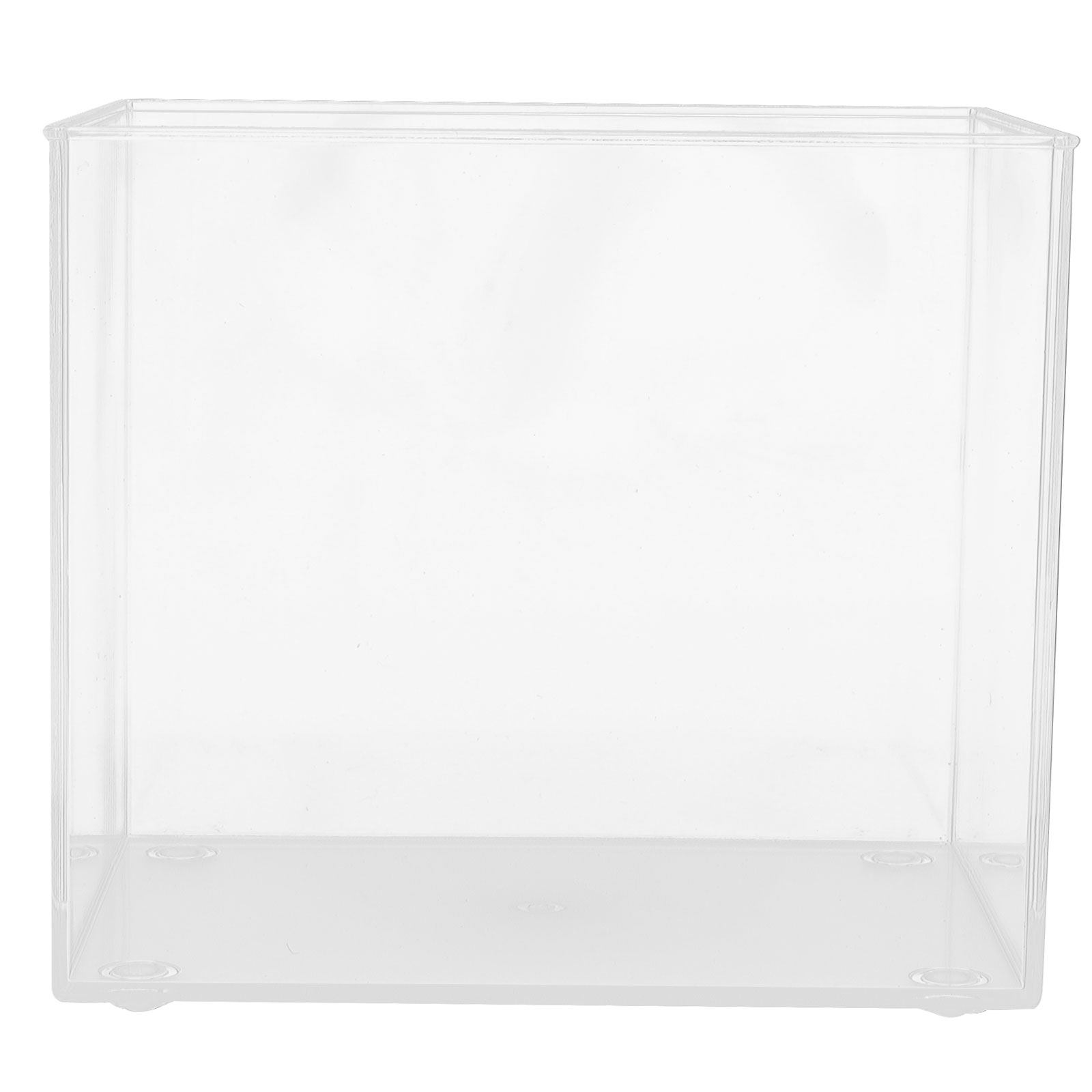 Desktop Mini Aquarium for Bett - Planted Aquarium Betta recensione e prezzo