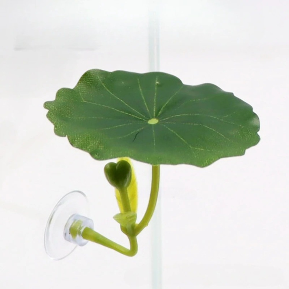 Lotus leaf Betta Fish Hammock  - Planted Aquarium Betta recensione e prezzo