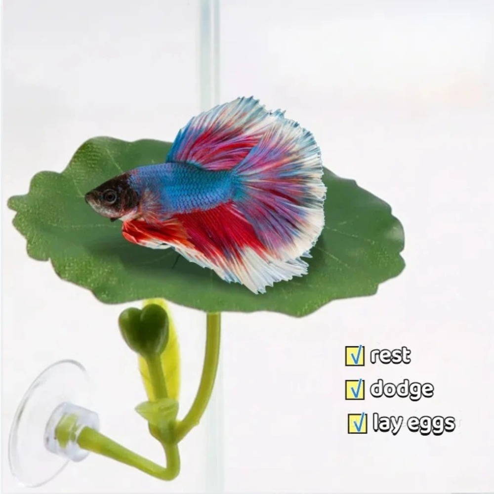 Lotus leaf Betta Fish Hammock  - Planted Aquarium Betta recensione e prezzo