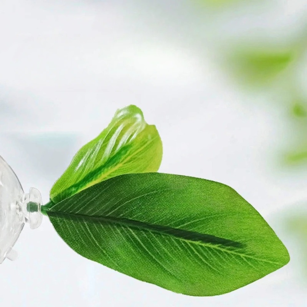 Lotus leaf Betta Fish Hammock  - Planted Aquarium Betta recensione e prezzo