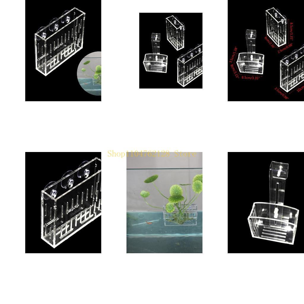 Aquariums Plant Holder for Daf - Planted Aquarium For Sale recensione e prezzo