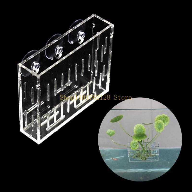 Aquariums Plant Holder for Daf - Planted Aquarium For Sale recensione e prezzo