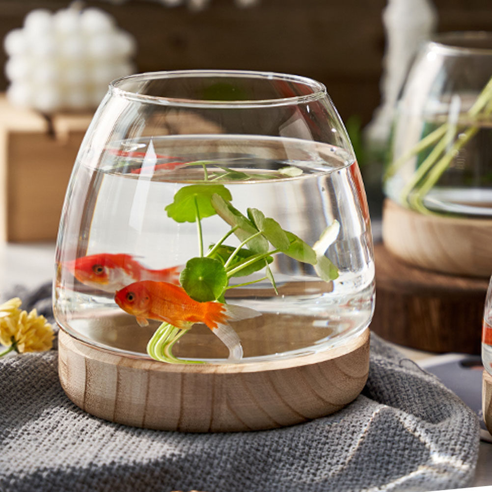 1Set Premium Glass Hydroponic  - Aquarium Plant Original recensione e prezzo