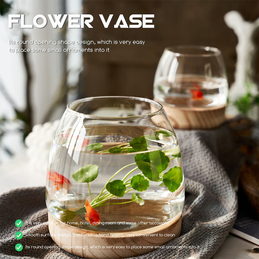 1Set Premium Glass Hydroponic  - Aquarium Plant Original recensione e prezzo