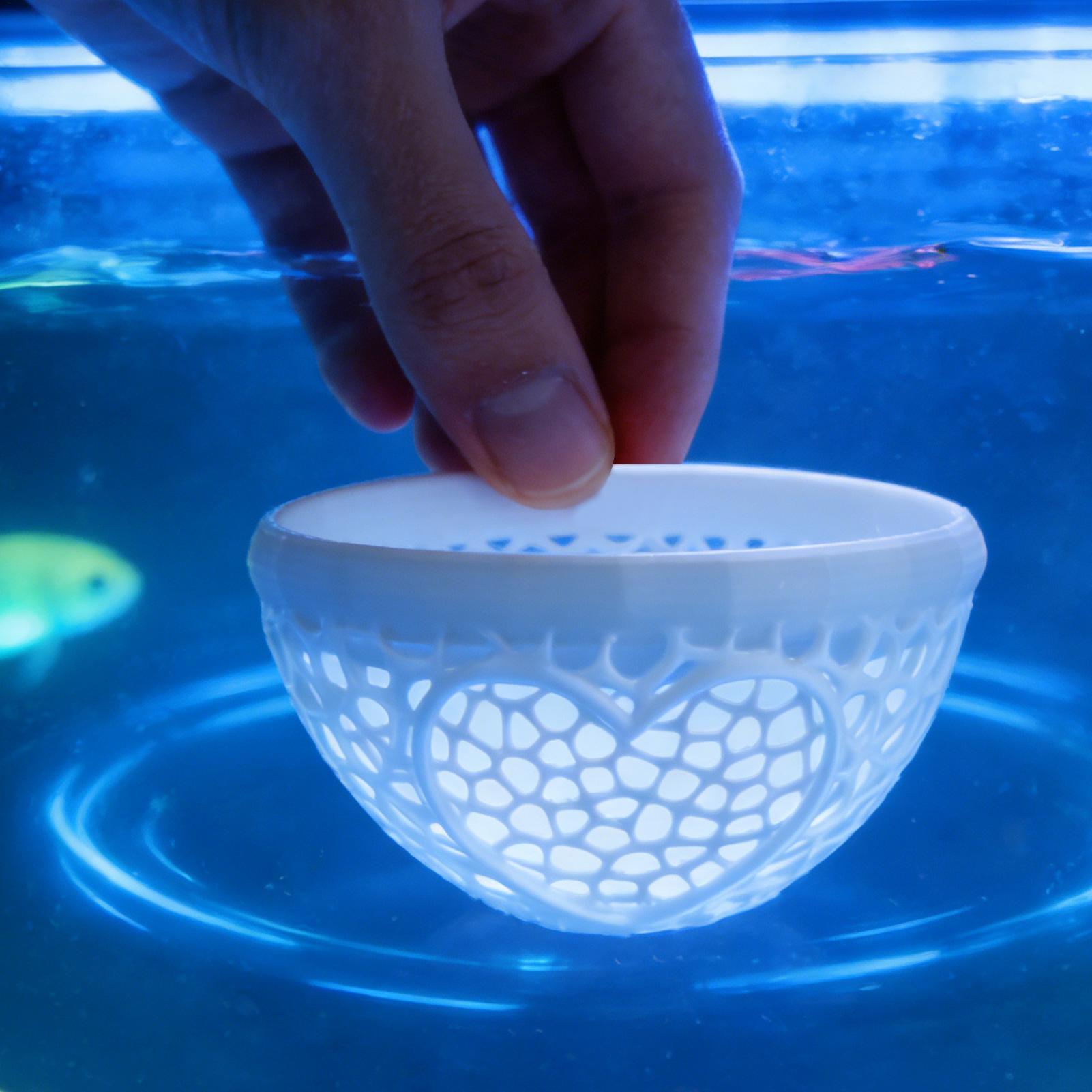 Floating betta shelter Betta h - Planted Aquarium Betta recensione e prezzo