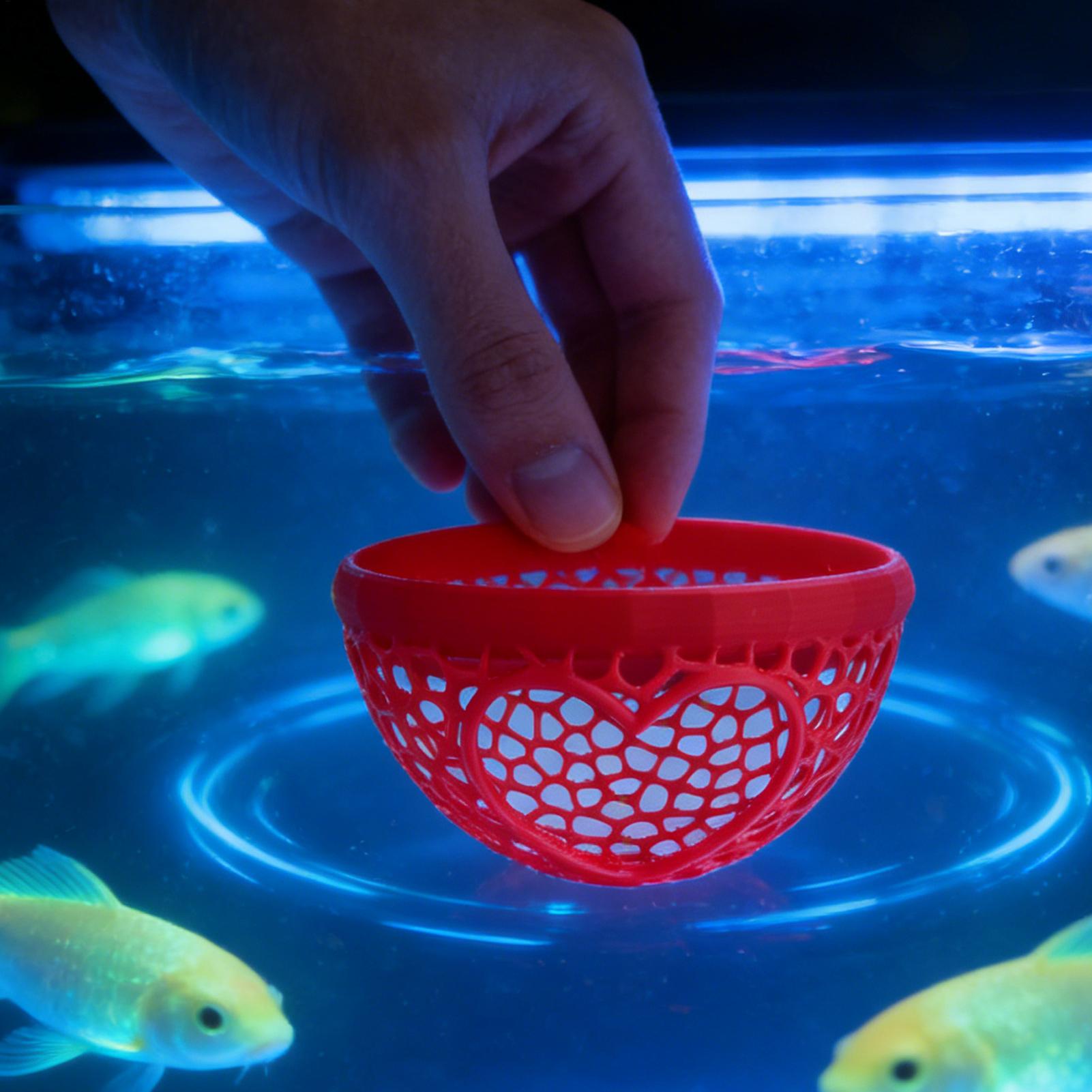 Floating betta shelter Betta h - Planted Aquarium Betta recensione e prezzo