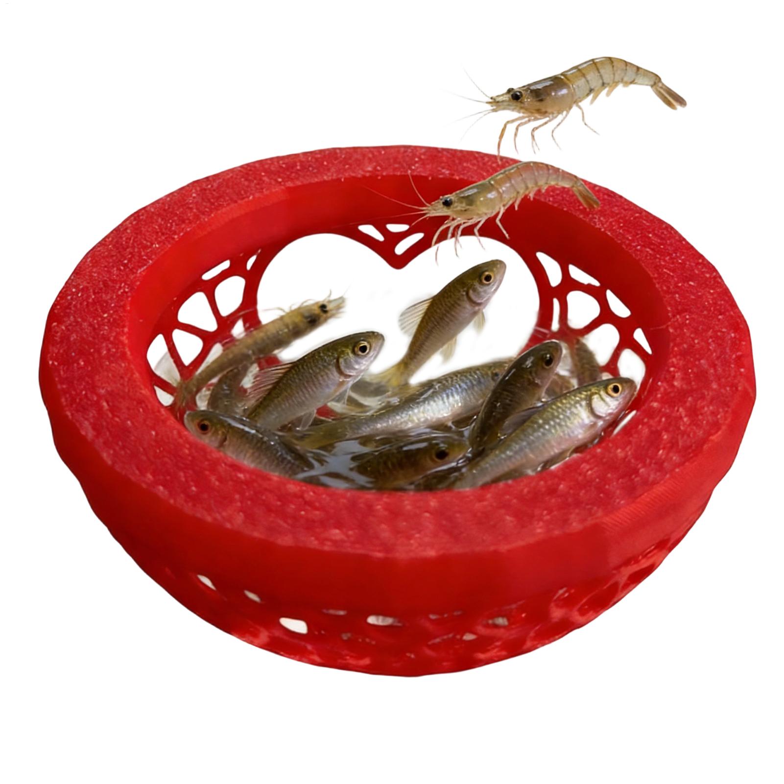 Floating betta shelter Betta h - Planted Aquarium Betta recensione e prezzo