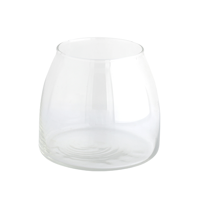 Plant Bottle Fish Tank Accesso - Planted Aquarium For Sale recensione e prezzo
