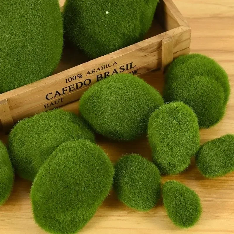 Live Marimo Moss Balls , Simul - Aquarium Plant Echinodorus recensione e prezzo