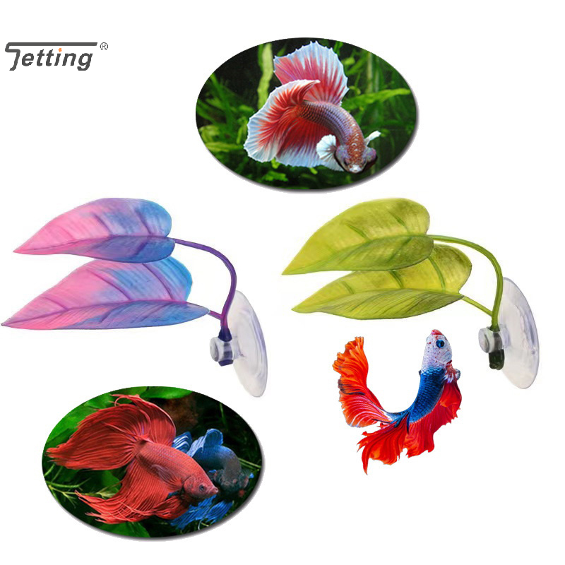 Artificial Aquatic Plant Aquar - Planted Aquarium Betta recensione e prezzo