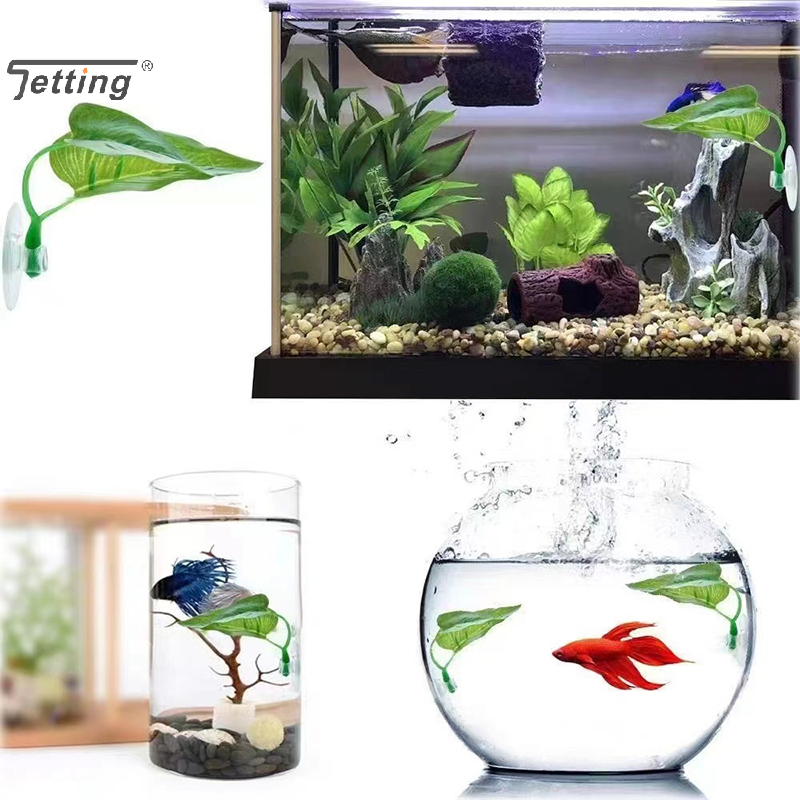 Artificial Aquatic Plant Aquar - Planted Aquarium Betta recensione e prezzo