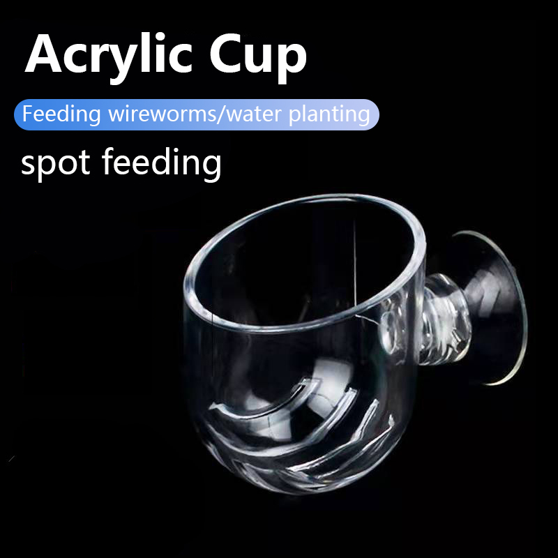 Aquarium Decoration Plant Cup  - Aquarium Plant Utensils recensione e prezzo
