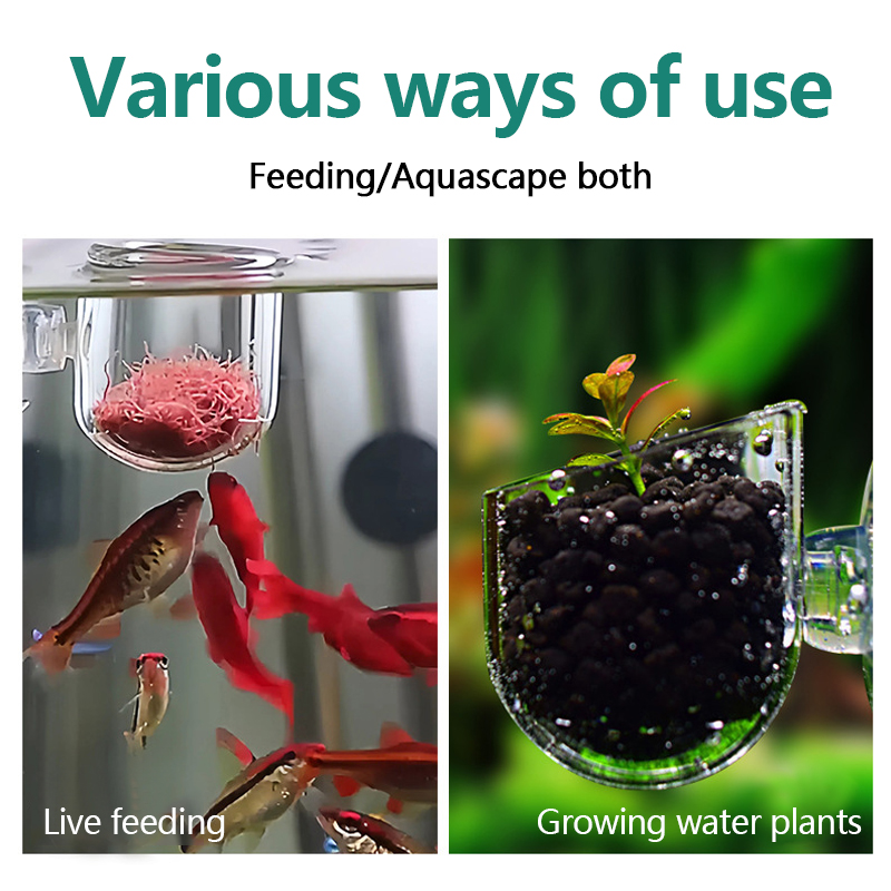 Aquarium Decoration Plant Cup  - Aquarium Plant Utensils recensione e prezzo