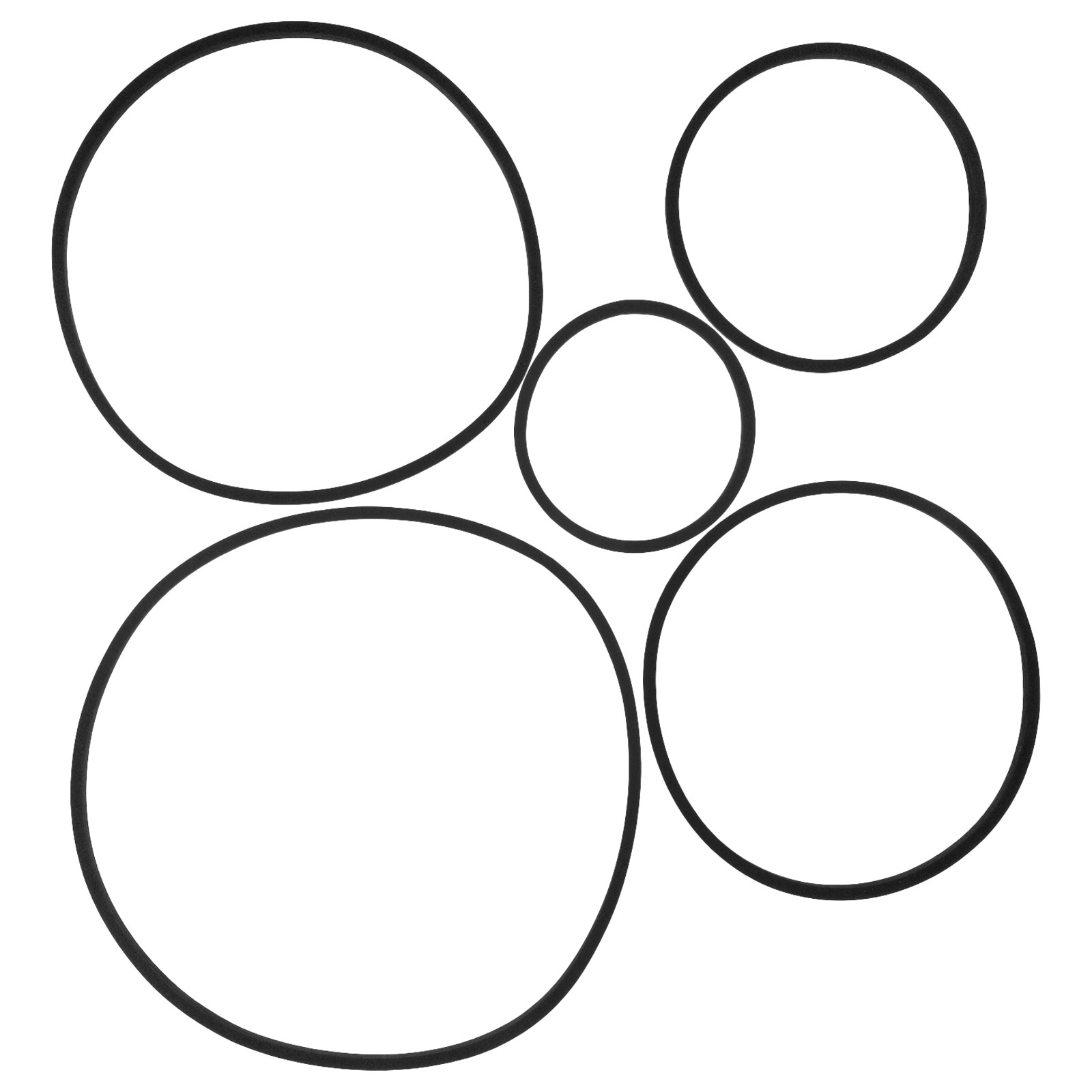 5Pcs Floating Plant Rings for  - Planted Aquarium Materials recensione e prezzo