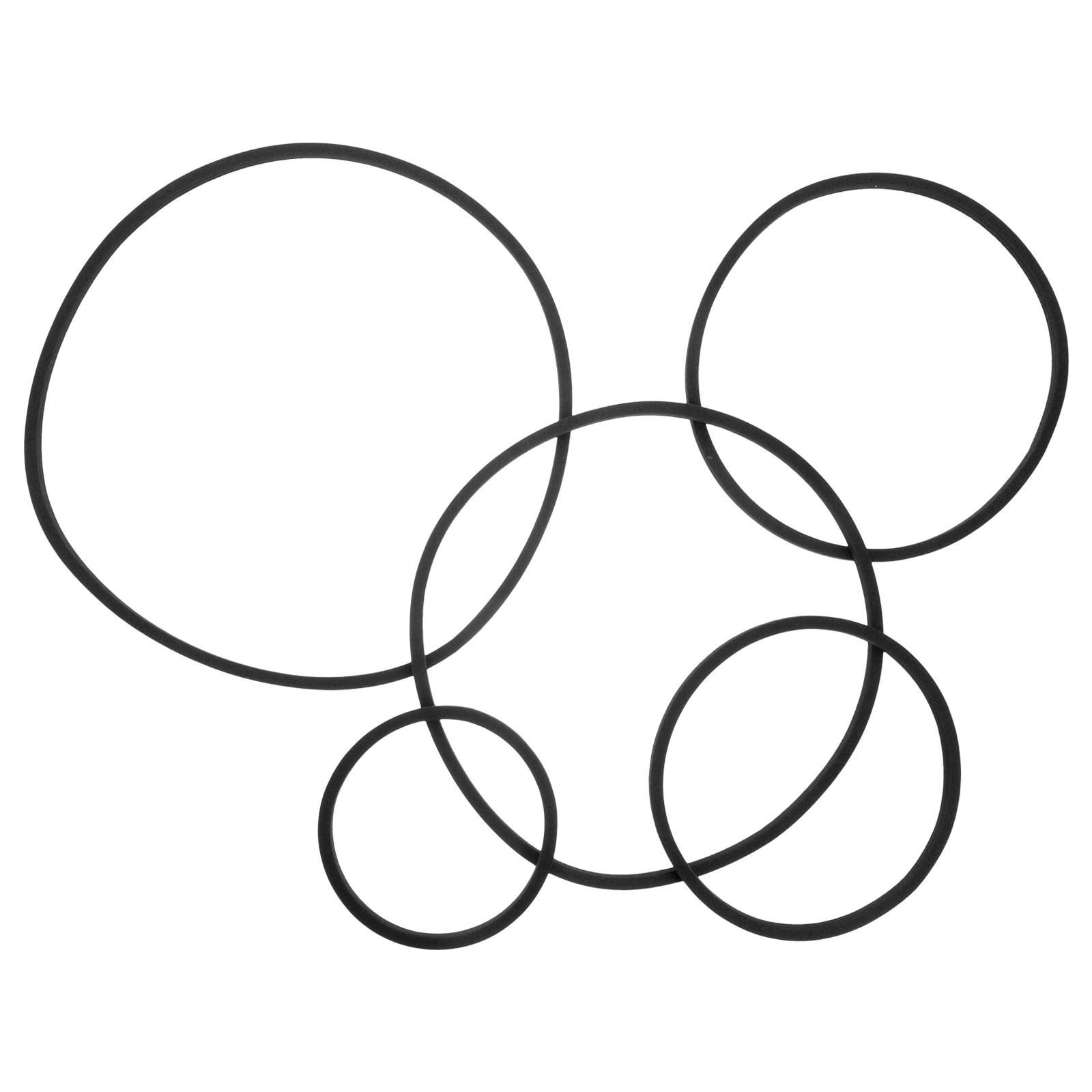 5Pcs Floating Plant Rings for  - Planted Aquarium Materials recensione e prezzo
