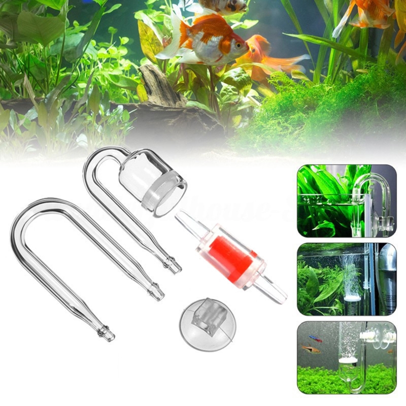 4pcs Set DIY CO2 Diffuser For  - Aquarium Plant Echinodorus recensione e prezzo