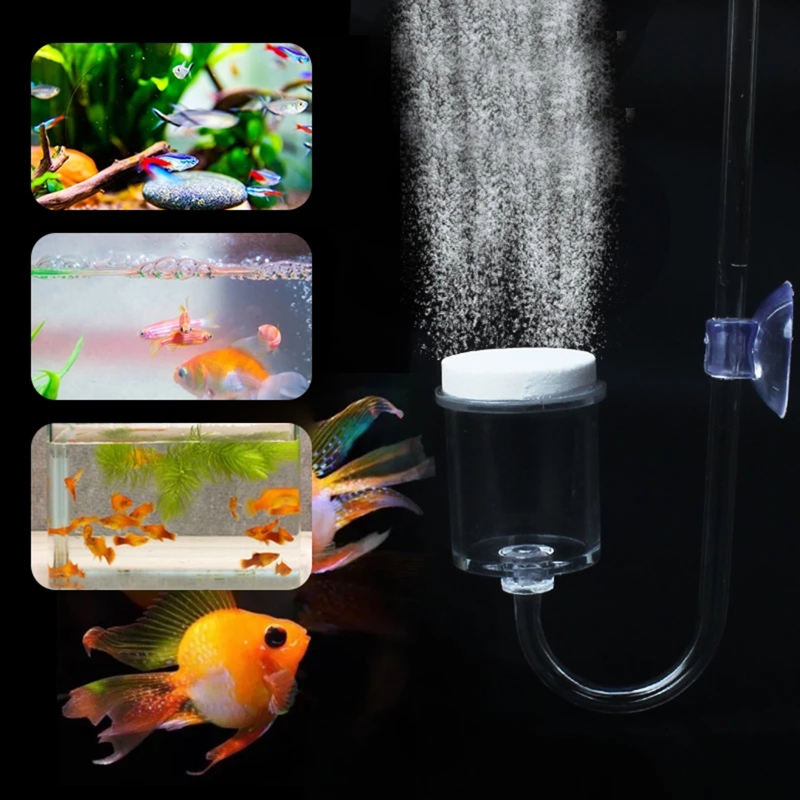 4pcs Set DIY CO2 Diffuser For  - Aquarium Plant Echinodorus recensione e prezzo