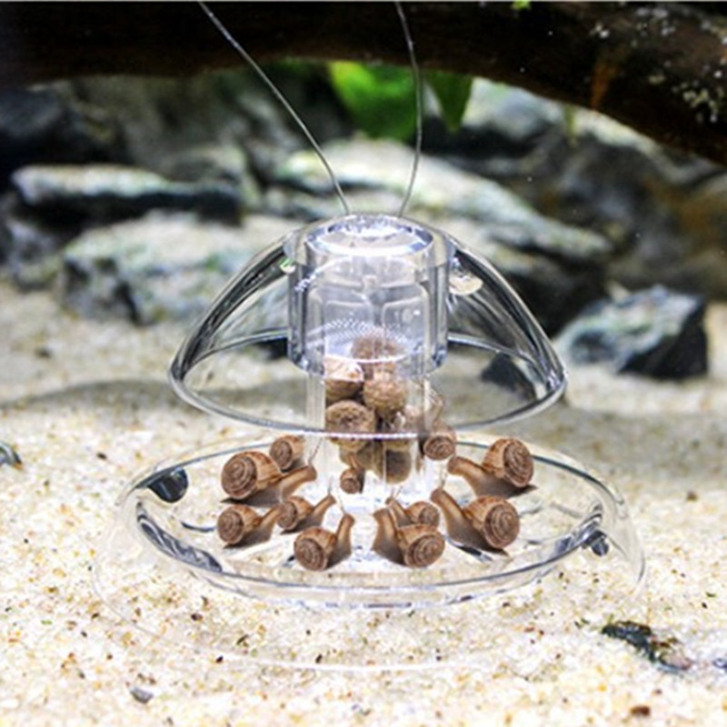 1PCS Fish Tank Aquarium Cleane - Aquarium Plant Utensils recensione e prezzo