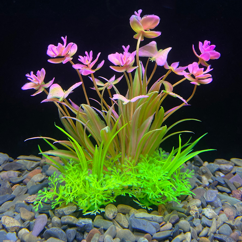 1PCS Aquarium Decor Set - Vibr - Planted Aquarium Materials recensione e prezzo