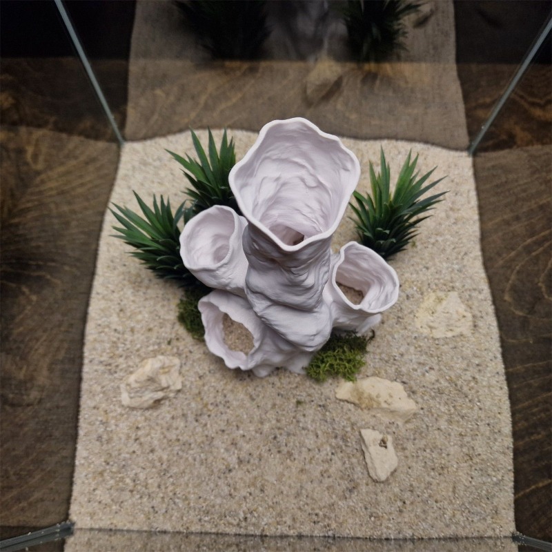 Hot Sale 3D Printed Coral Tunn - Planted Aquarium For Sale recensione e prezzo