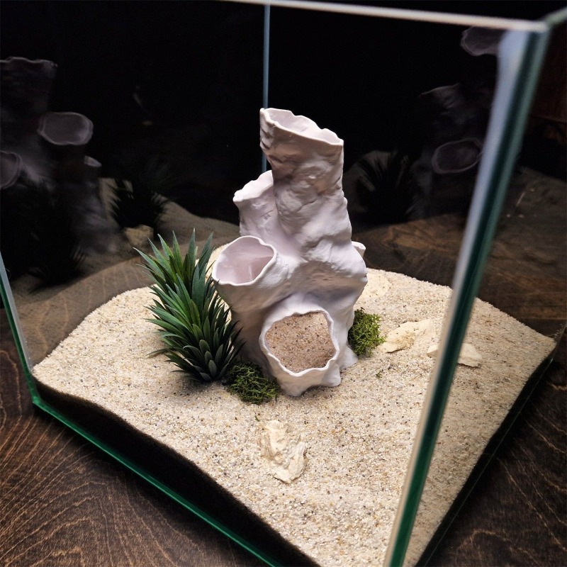 Hot Sale 3D Printed Coral Tunn - Planted Aquarium For Sale recensione e prezzo