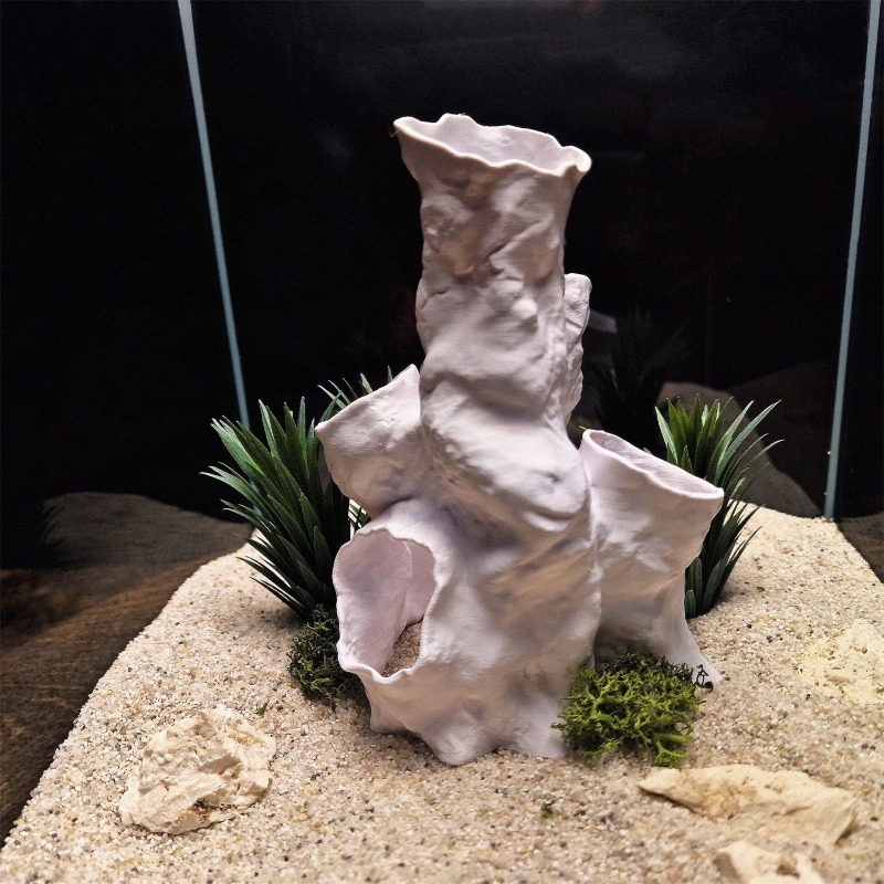 Hot Sale 3D Printed Coral Tunn - Planted Aquarium For Sale recensione e prezzo