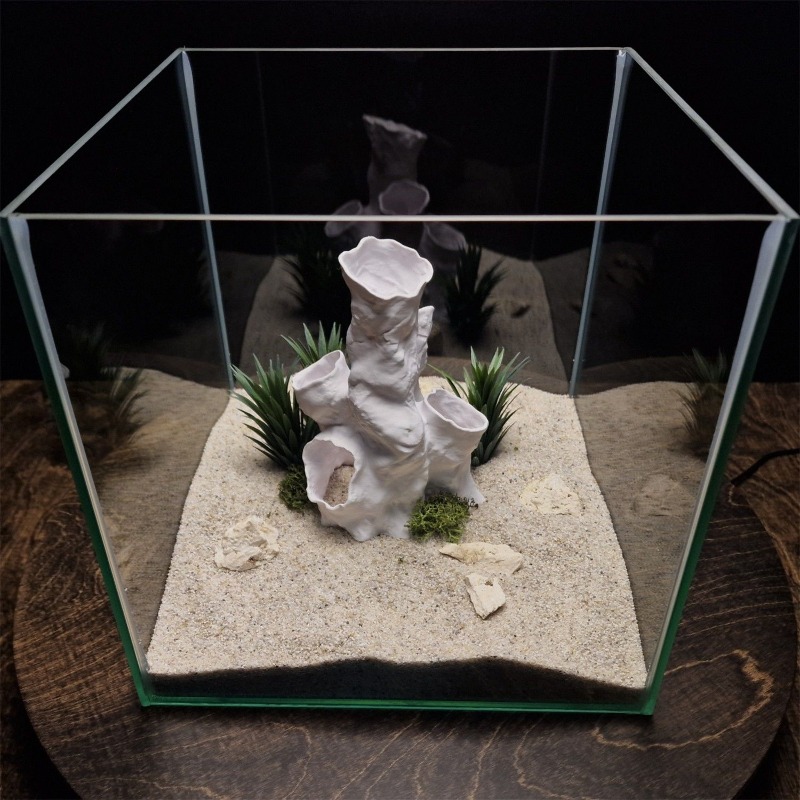 Hot Sale 3D Printed Coral Tunn - Planted Aquarium For Sale recensione e prezzo