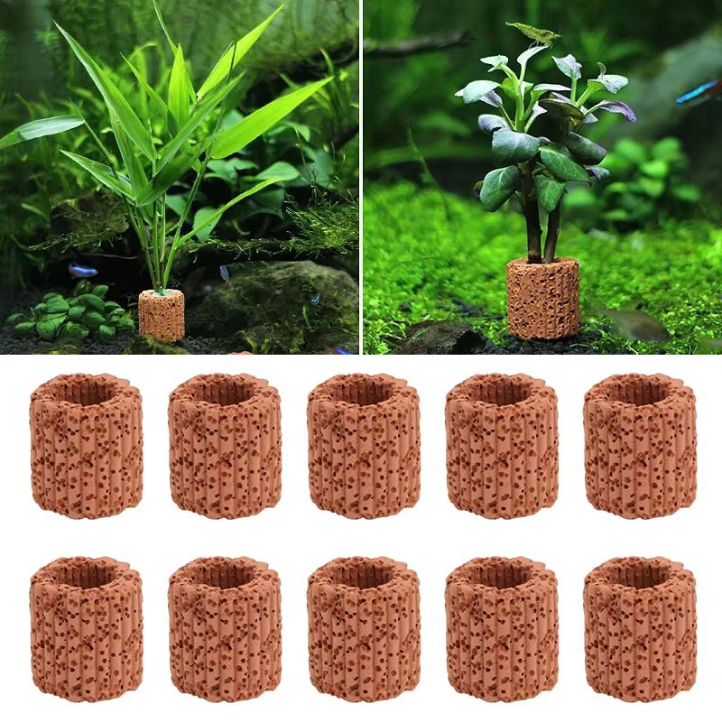 Aquatic Plant Fixed Ring for A - Aquarium Plant Utensils recensione e prezzo
