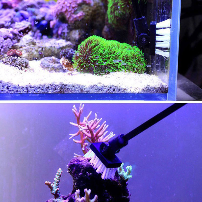 Fishing Cleaning Brush Plant T - Aquarium Plant Utensils recensione e prezzo