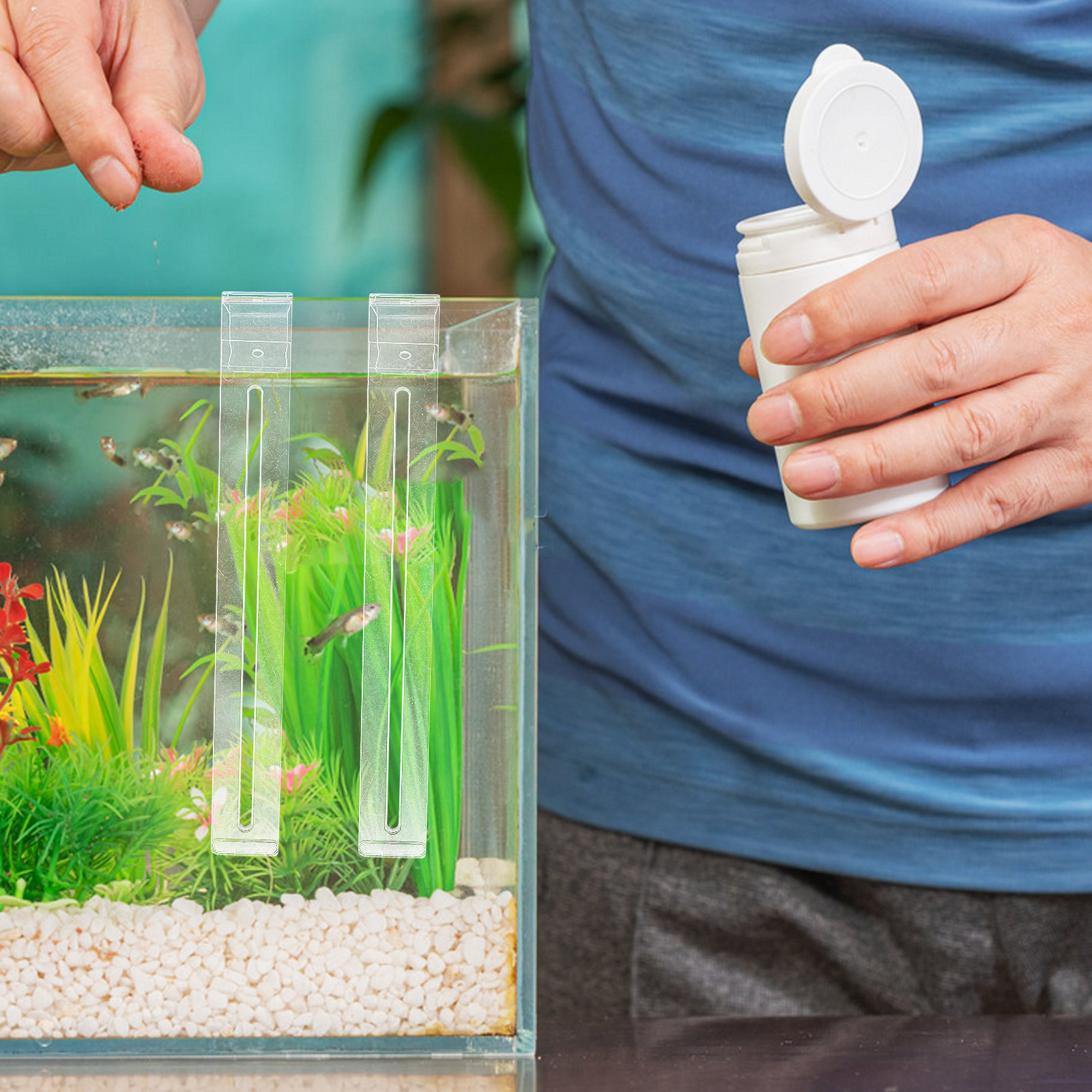 2Pcs Space Saving Adjustable C - Planted Aquarium Betta recensione e prezzo