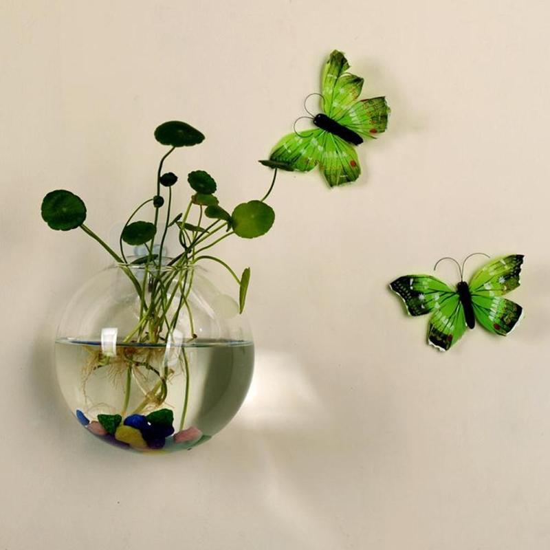 Creative Wall Mounted Glass Va - Aquarium Plant Echinodorus recensione e prezzo