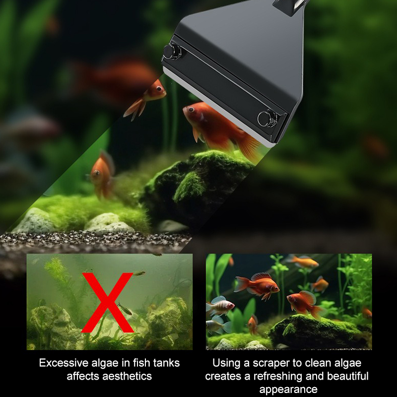 Aquarium Algae Remover Aluminu - Aquarium Plant Utensils recensione e prezzo