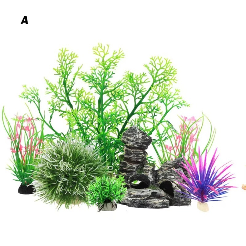 10pcs Hot Selling New Arrival  - Planted Aquarium For Sale recensione e prezzo