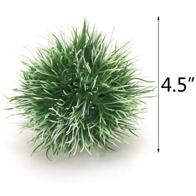 10pcs Hot Selling New Arrival  - Planted Aquarium For Sale recensione e prezzo