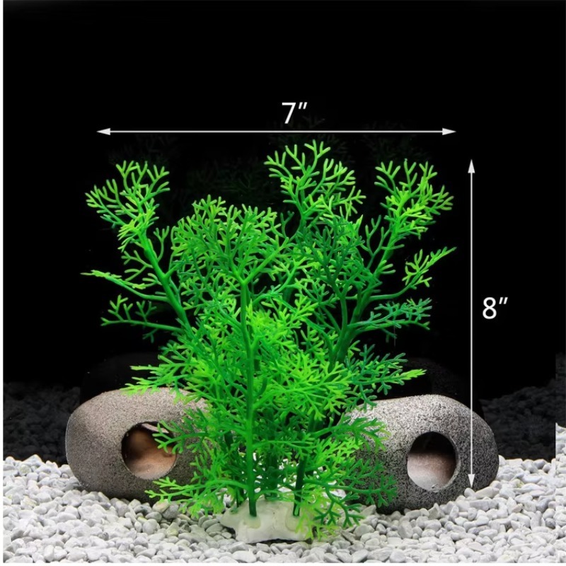 10pcs Hot Selling New Arrival  - Planted Aquarium For Sale recensione e prezzo