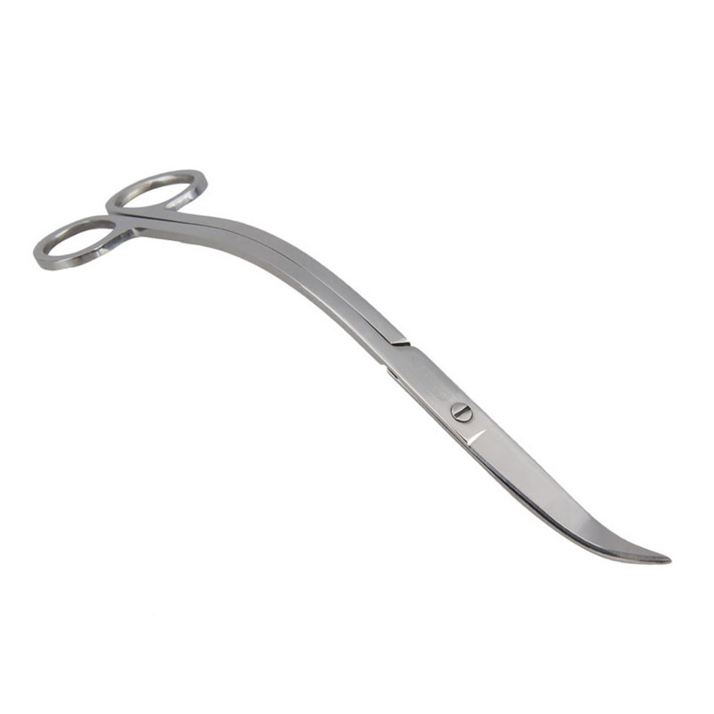 Aquarium Scissor Tools Set Wav - Aquarium Plant Utensils recensione e prezzo