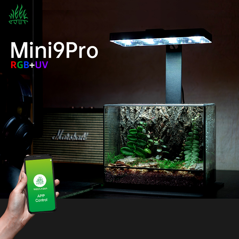 Hot Sale Mini9pro Nano Terrari - Planted Aquarium For Sale recensione e prezzo