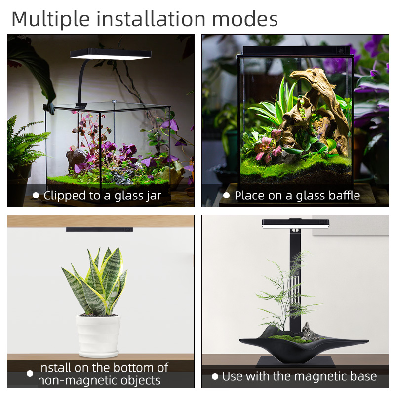 Hot Sale Mini9pro Nano Terrari - Planted Aquarium For Sale recensione e prezzo