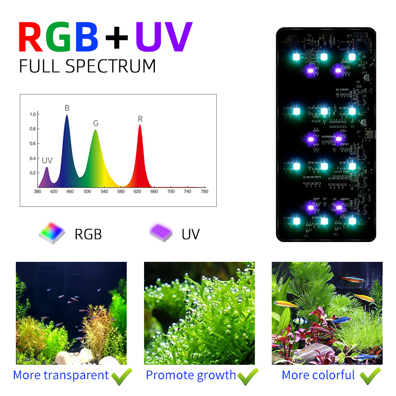 Hot Sale Mini9pro Nano Terrari - Planted Aquarium For Sale recensione e prezzo
