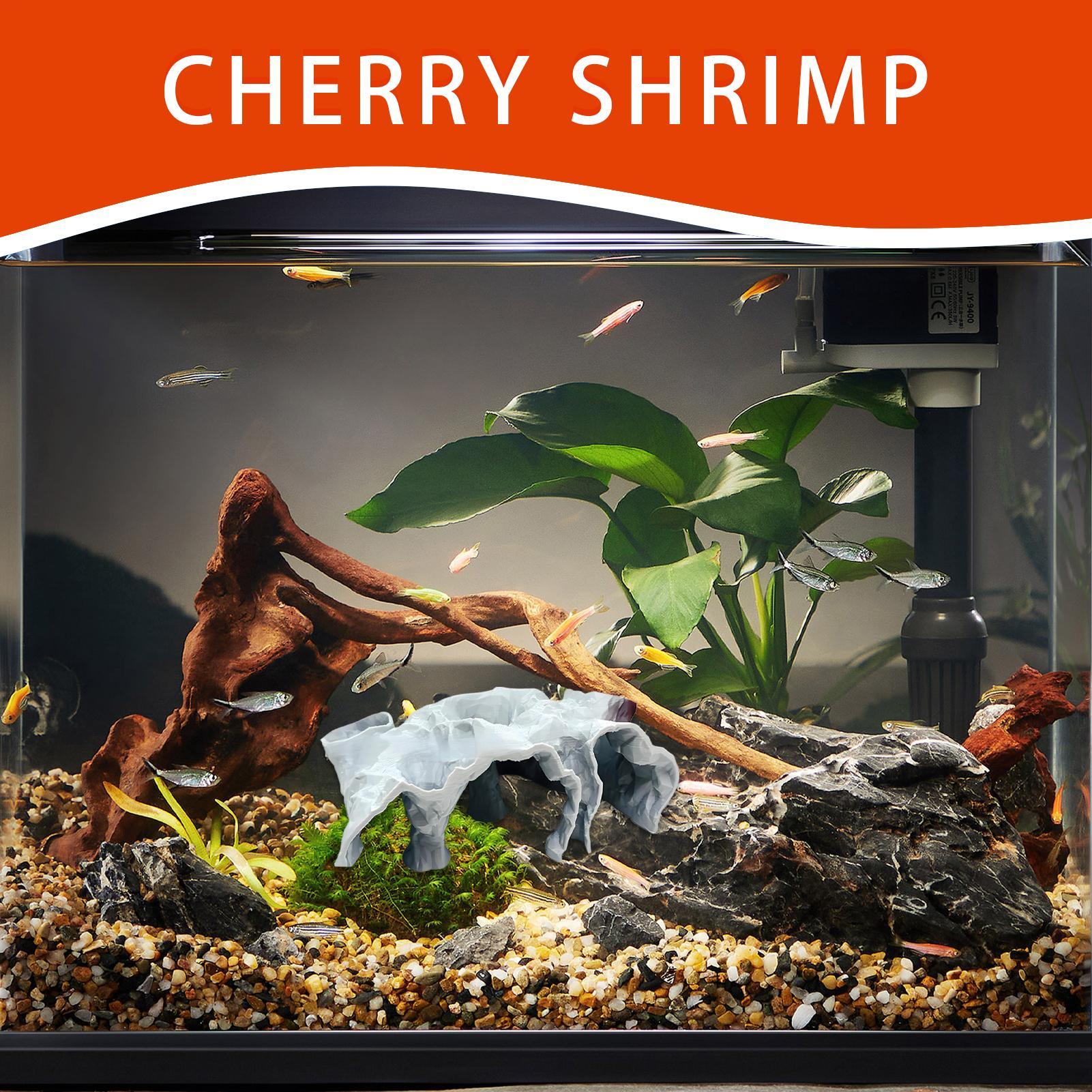 Fish Tank Cave Aquarium Underg - Planted Aquarium Betta recensione e prezzo