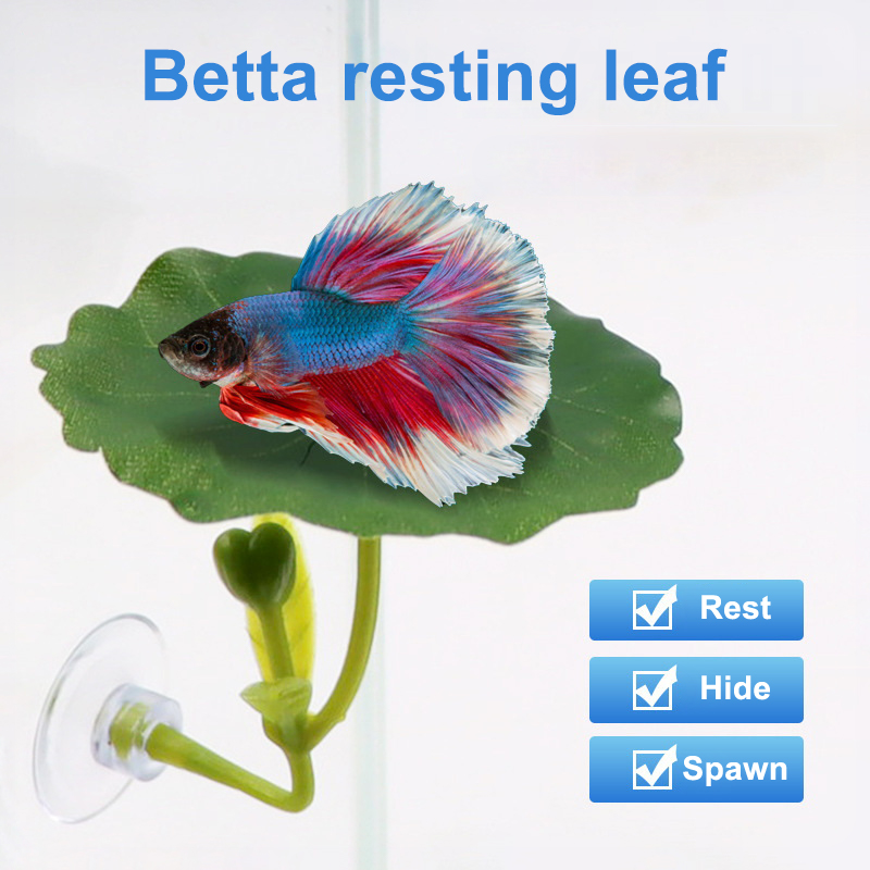 Green Leaf Hammock For Betta F - Planted Aquarium Betta recensione e prezzo
