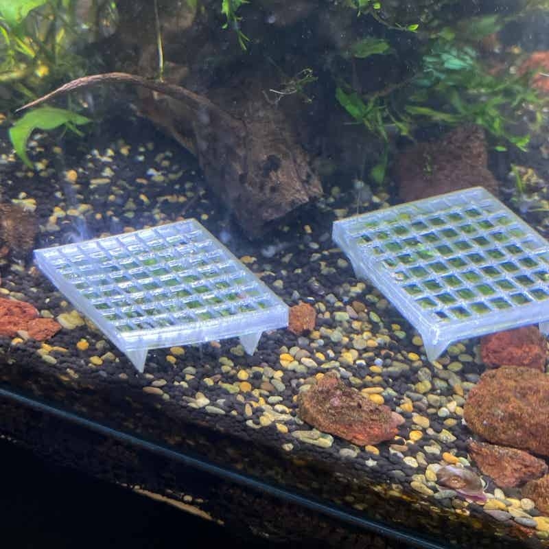 Aquarium Moss Cage Holder Fish - Aquarium Plant Echinodorus recensione e prezzo