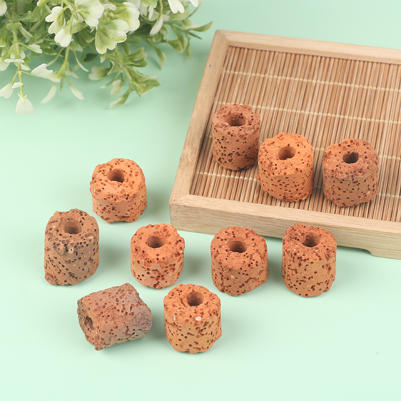 10Pcs Plant Ring Aquarium Fixe - Aquarium Plant Utensils recensione e prezzo