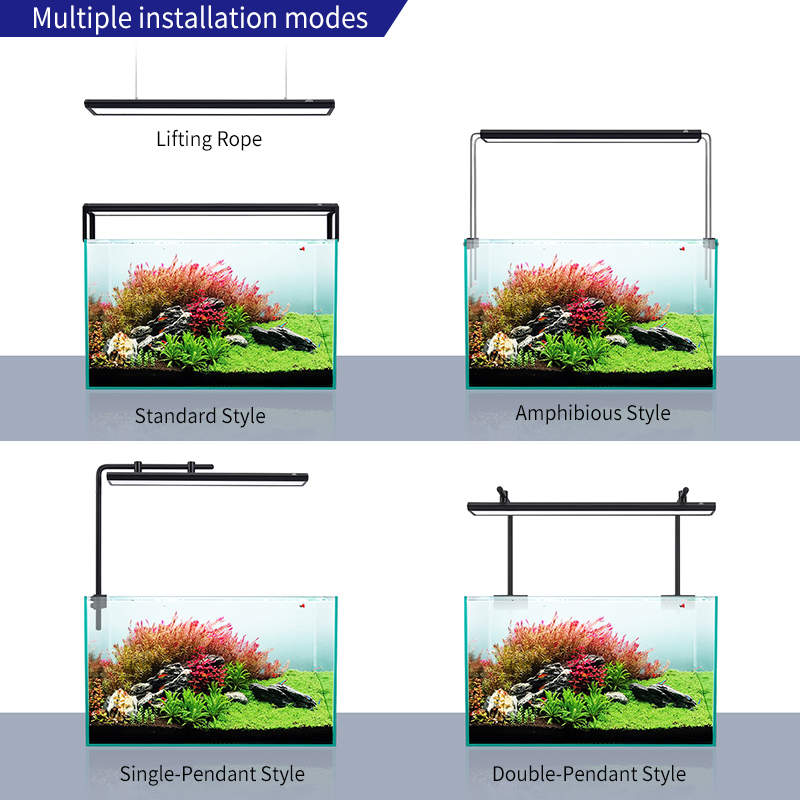 ZXY Hot Sale WEEKAQUA V400 WRG - Planted Aquarium For Sale recensione e prezzo