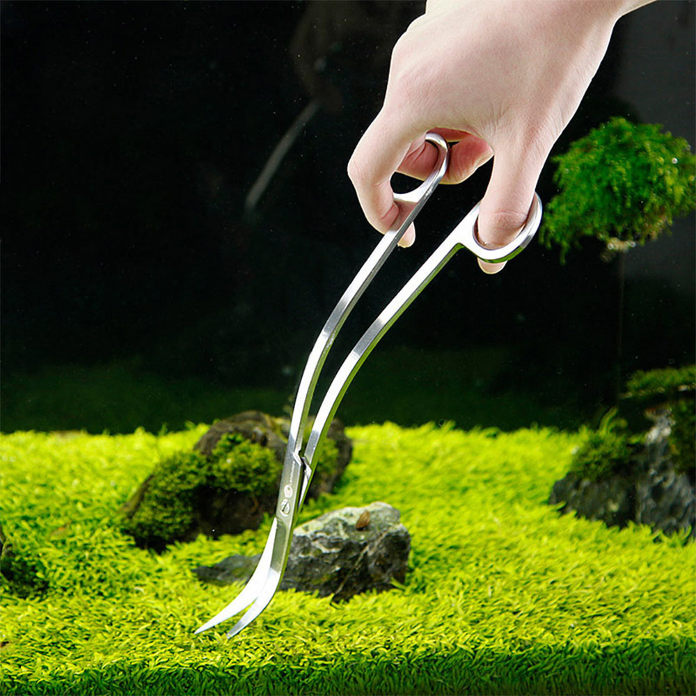 Aquarium Accessories Hard Stai - Aquarium Plant Utensils recensione e prezzo