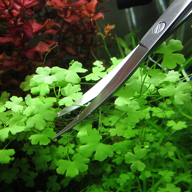 Aquarium Accessories Hard Stai - Aquarium Plant Utensils recensione e prezzo